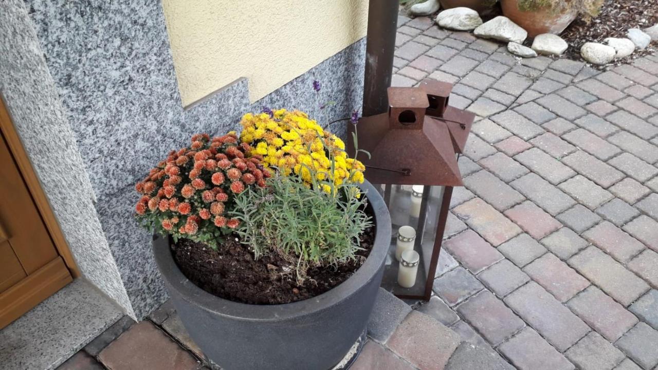 Ferienwohnung Leipzig Land Naunhof Esterno foto